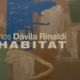 Arte @ Plaza – Habitat: Carlos Davila Rinaldi